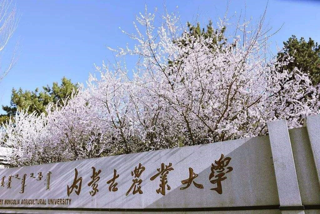 内蒙古农业大学